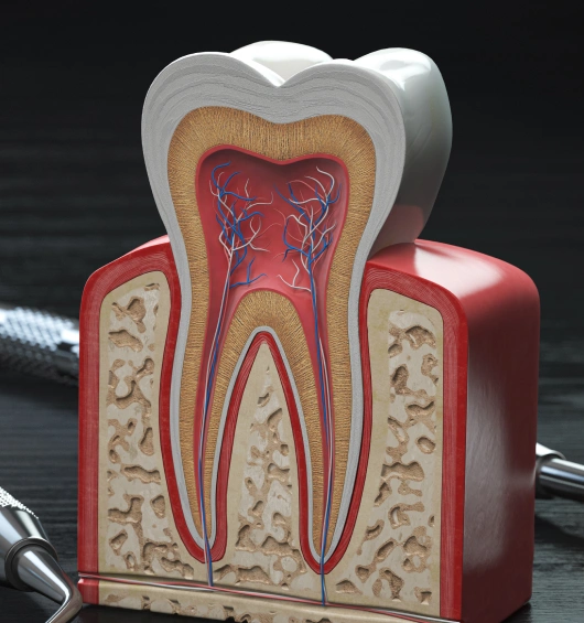 root canal therapy in renton